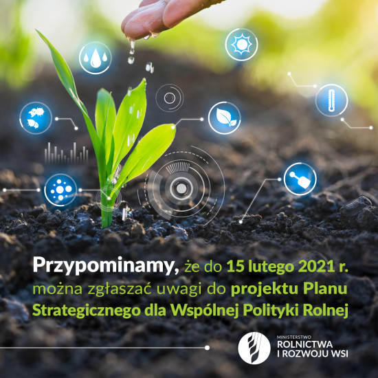 AKTUALNOŚCI