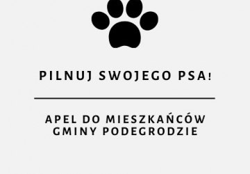 Apel do mieszkańców Gminy Podegrodzie – Pilnuj swojego psa!