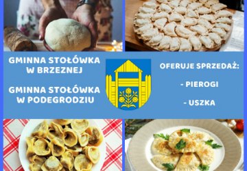 Gminna Stołówka w Brzeznej oferuje sprzedaż pierogów