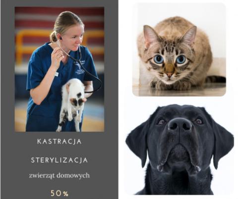 Informacja o możliwości wykonania zabiegu kastracji / sterylizacji zwierząt domowych