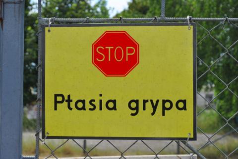 Ostrzeżenie dotyczące ryzyka wystąpienia wysoce zjadliwej grypy ptaków