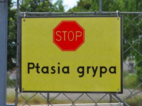 Ostrzeżenie dotyczące ryzyka wystąpienia wysoce zjadliwej grypy ptaków