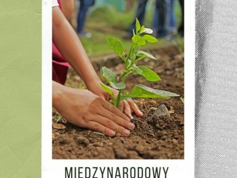 21 marca – Międzynarodowy Dzień Lasów!