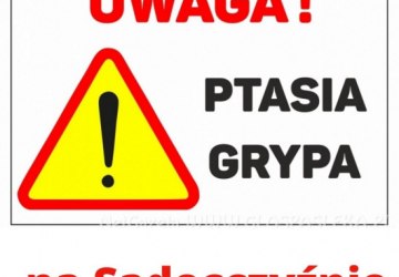 UWAGA Ptasia grypa na Sądecczyźnie!!!!!!