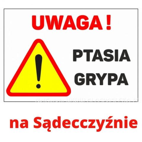 UWAGA Ptasia grypa na Sądecczyźnie!!!!!!