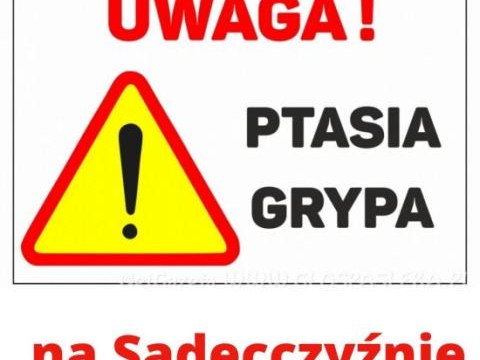 UWAGA Ptasia grypa na Sądecczyźnie!!!!!!