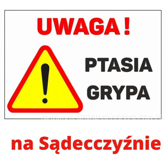 AKTUALNOŚCI