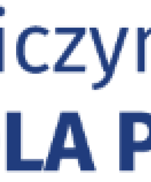 Narodowy Spis Powszechny Ludności i Mieszkań 2021