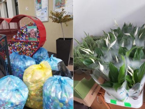 Podsumowanie akcji „Otocz się zielenią i odetchnij czystym powietrzem”