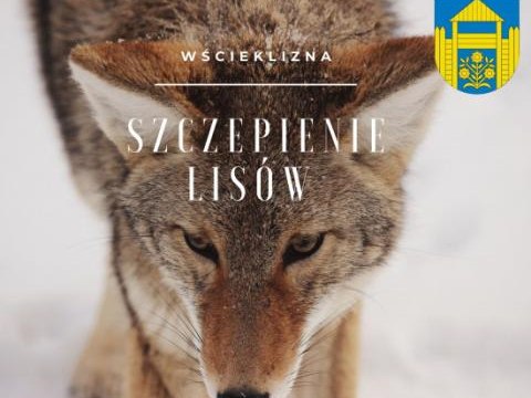 Komunikat w sprawie akcji szczepienia lisów przeciwko wściekliźnie na terenie województwa małopolskiego