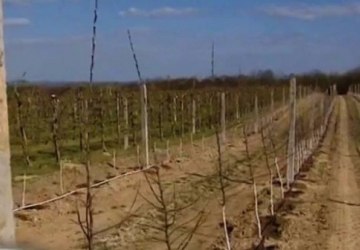 Informacja dla rolników – pomoc dla producentów rolnych poszkodowanych w wyniku wystąpienia w 2020 roku niekorzystnych zjawisk atmosferycznych