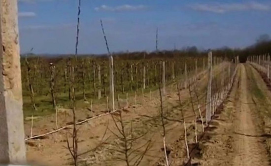 Informacja dla rolników – pomoc dla producentów rolnych poszkodowanych w wyniku wystąpienia w 2020 roku niekorzystnych zjawisk atmosferycznych