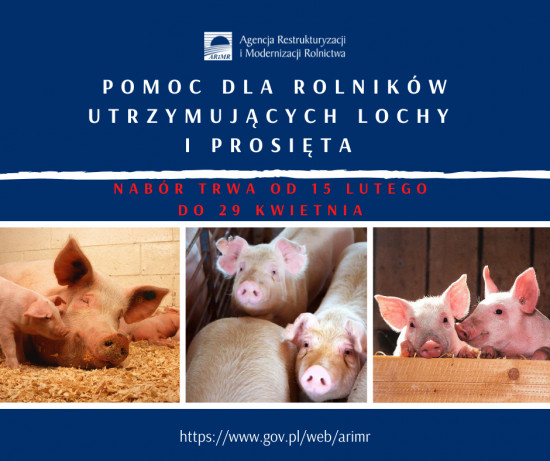 AKTUALNOŚCI