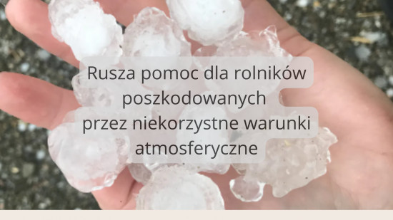 Informacja dla rolników – pomoc dla producentów rolnych poszkodowanych w wyniku wystąpienia w 2021 roku niekorzystnych zjawisk atmosferycznych