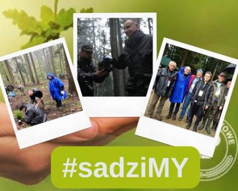 Akcja #sadziMY przede wszystkim uczymy szacunku do przyrody i lasu