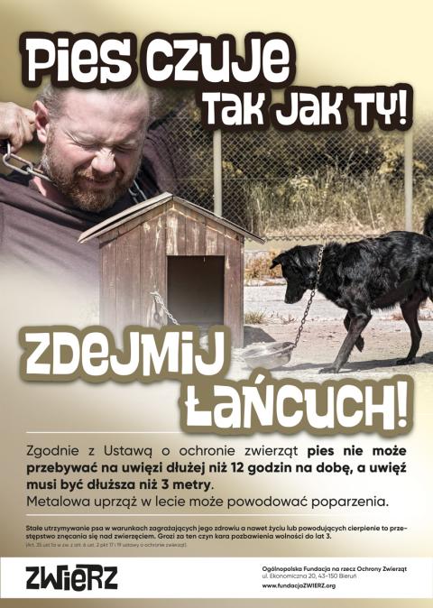 "Pies czuje taj jak Ty"