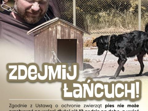 "Pies czuje taj jak Ty"