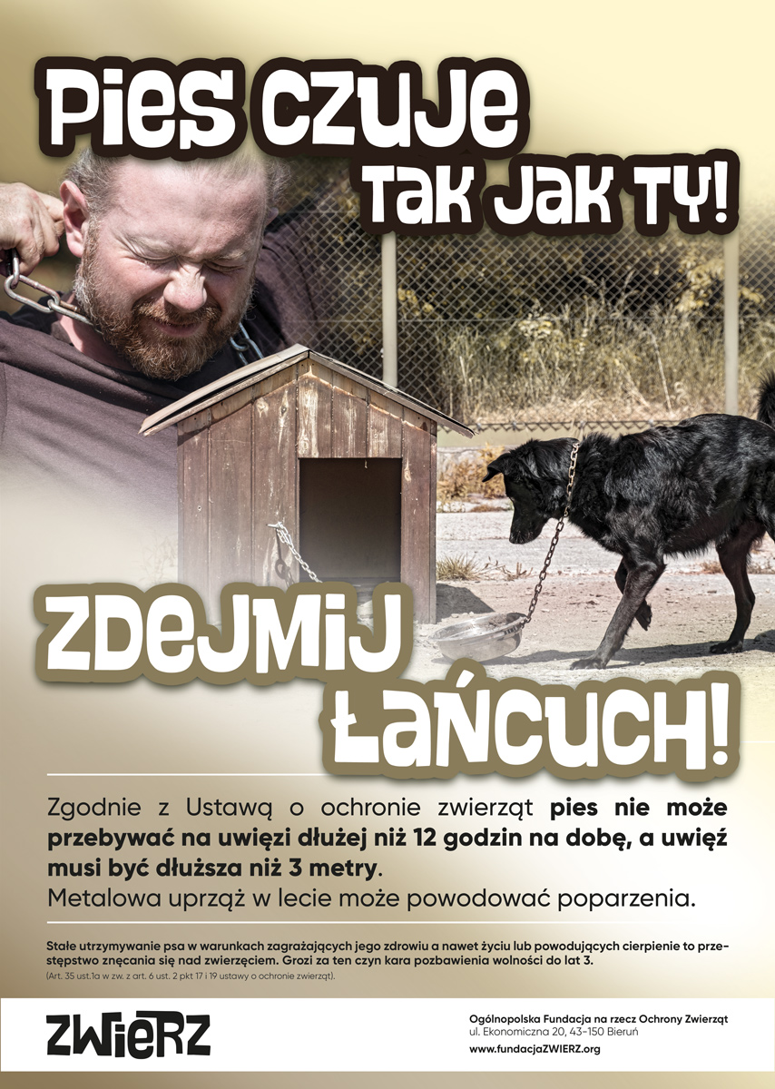 AKTUALNOŚCI