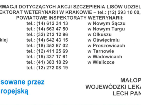 Akcja ochronnego szczepienia lisów