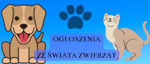 Link otwierany w nowym oknie