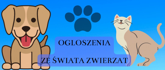 Ogłoszenia ze świata zwierząt