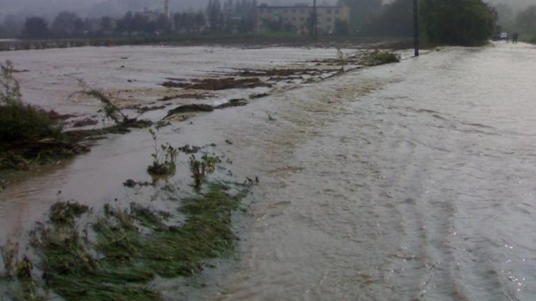 20100815767.jpg