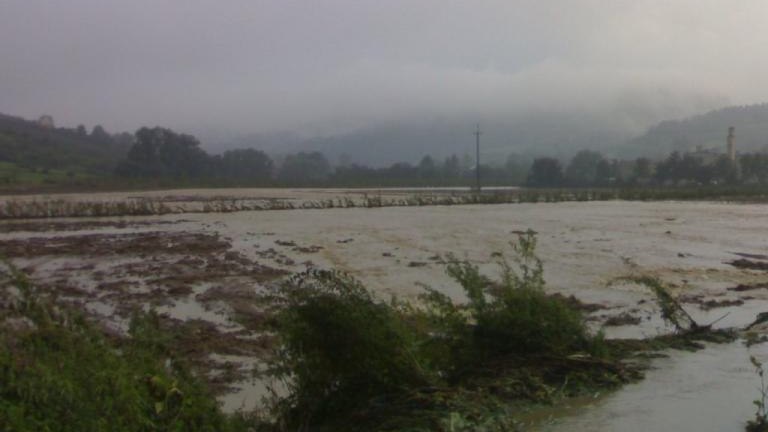 20100815768.jpg