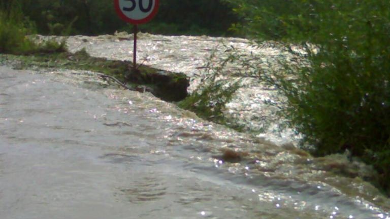 20100815773.jpg