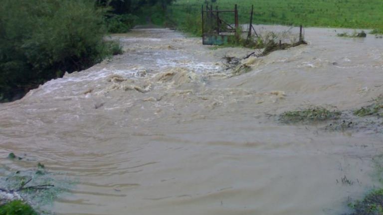 20100815775.jpg