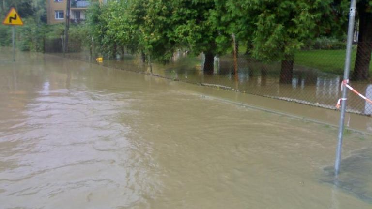 20100815779.jpg