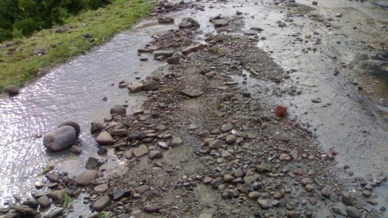 20100815781.jpg