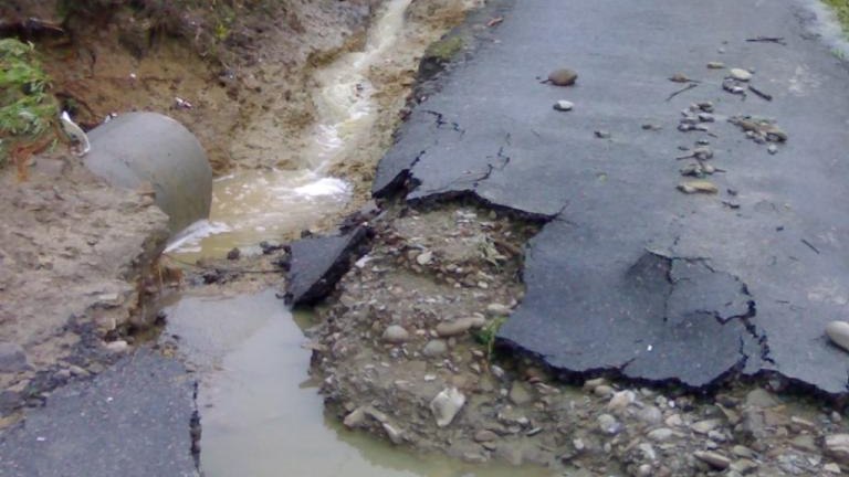 20100815787.jpg