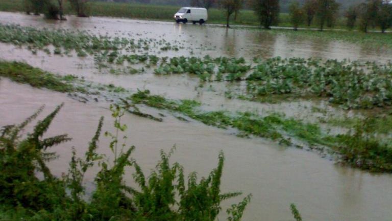 20100815802.jpg