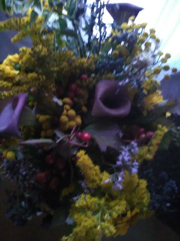 IMG_20170815_193146.jpg
