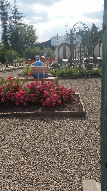 20170720_161058.jpg