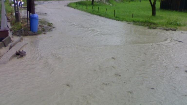 20100815740.jpg