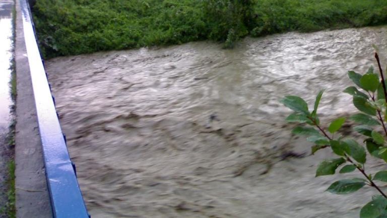 20100815742.jpg