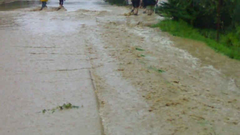 20100815749.jpg