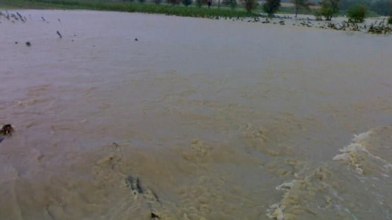 20100815762.jpg