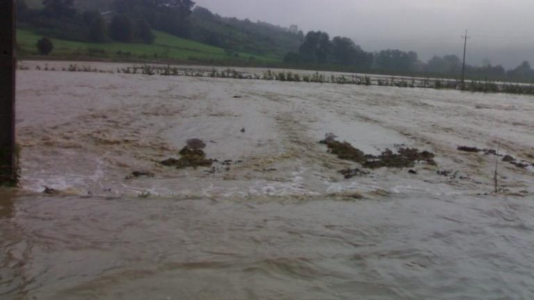 20100815765.jpg