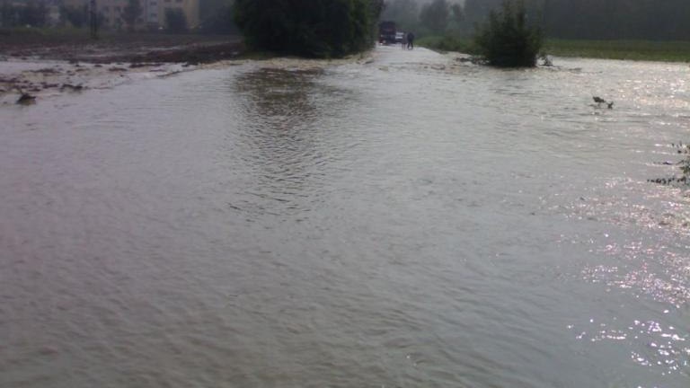 20100815769.jpg