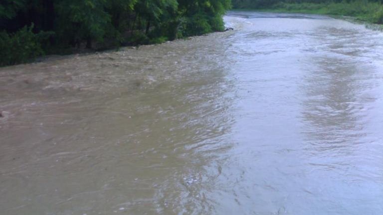 20100815772.jpg