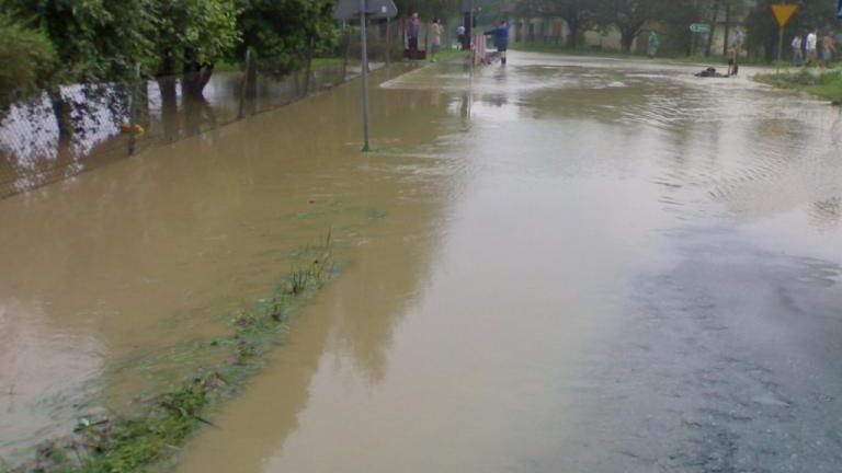 20100815778.jpg