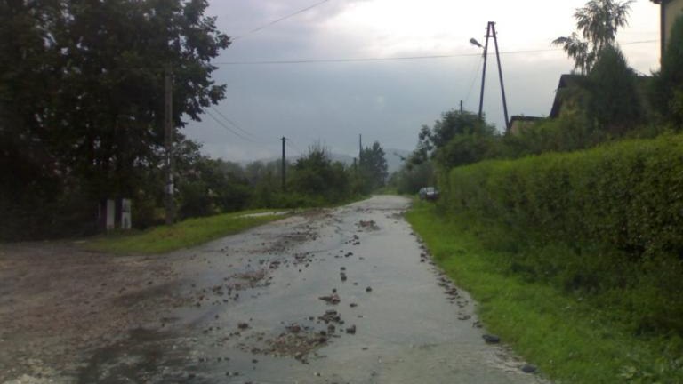 20100815780.jpg