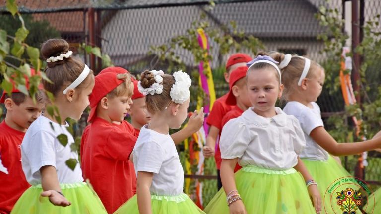 Piknik rodzinny (87).JPG