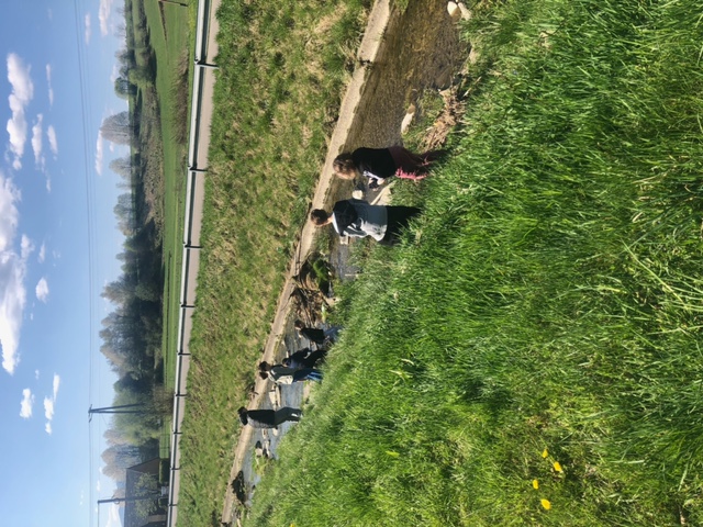 image11.jpeg