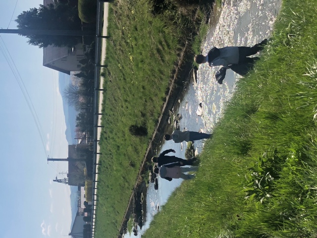 image13.jpeg