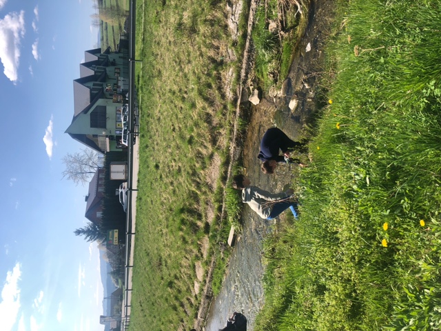 image16.jpeg