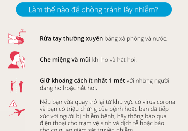 plakat VN.jpg