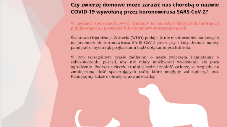 zwierzęta - ulotka.png
